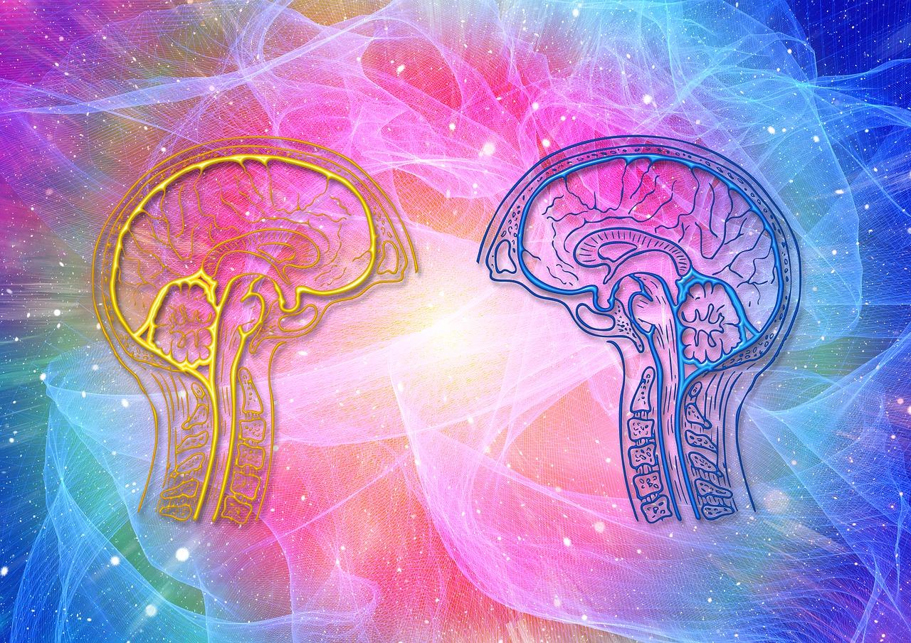 Perception, Attention, and Memory for Social Connectedness in Mediated Environments