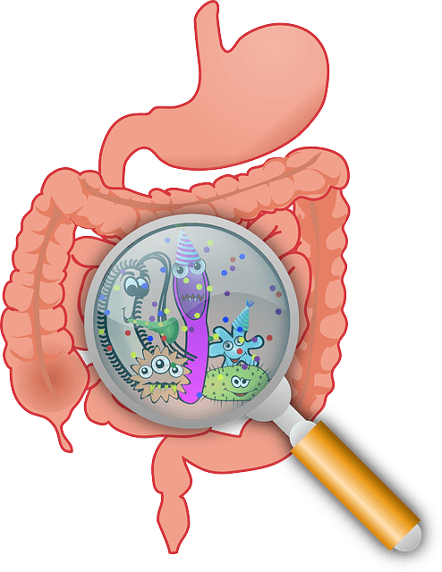 ExpertsConnect EP. 18: Tips to Keep your Gut Microbiomes Healthy with Jennifer Ellis Galichia