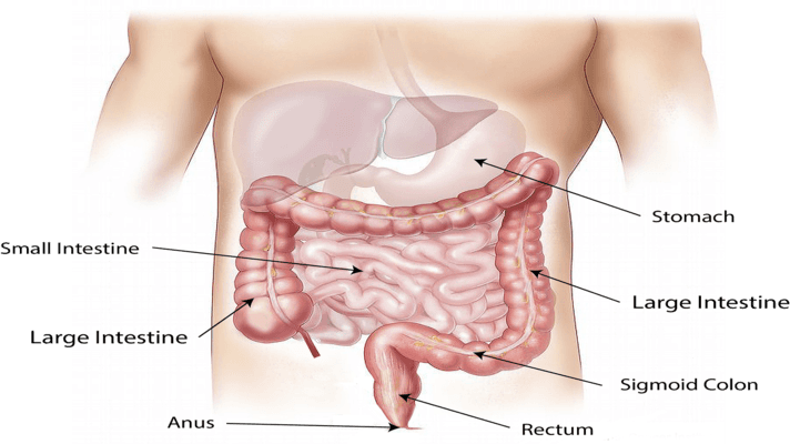 ExpertsConnect Ep. 4: Understanding Colorectal Cancer