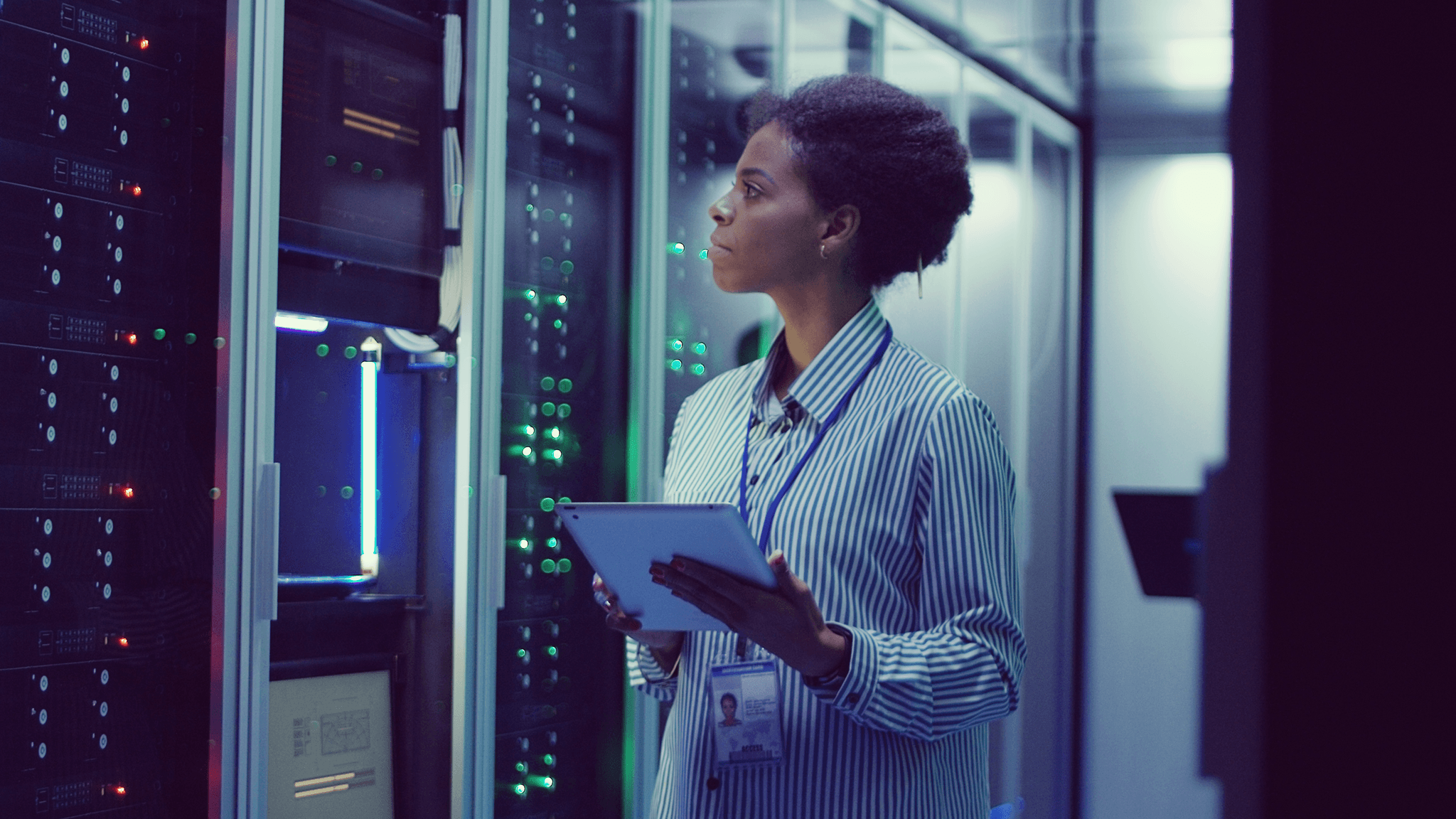 Microsoft SQL Server Development for Everyone!