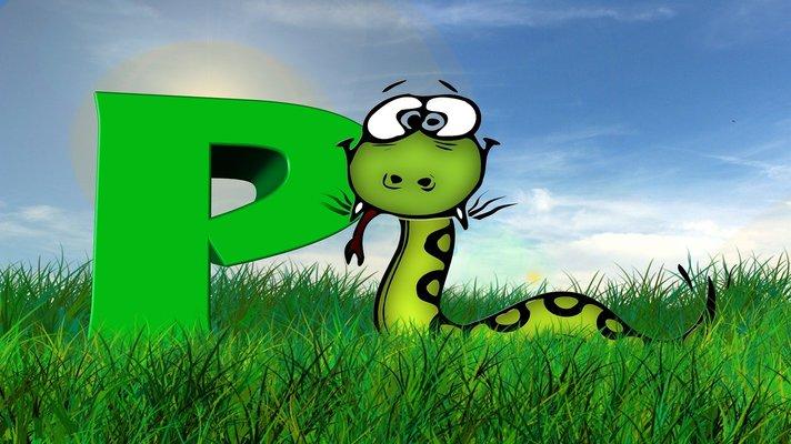 Python Programming